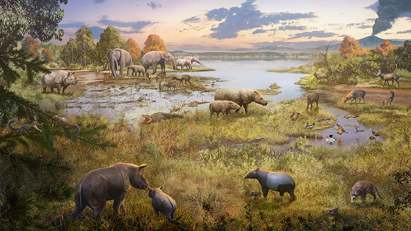 ɽ��ɽ�����Ϭ�໯ʯ��ʾ�����൥̥��ֳ���Ե��ݻ�