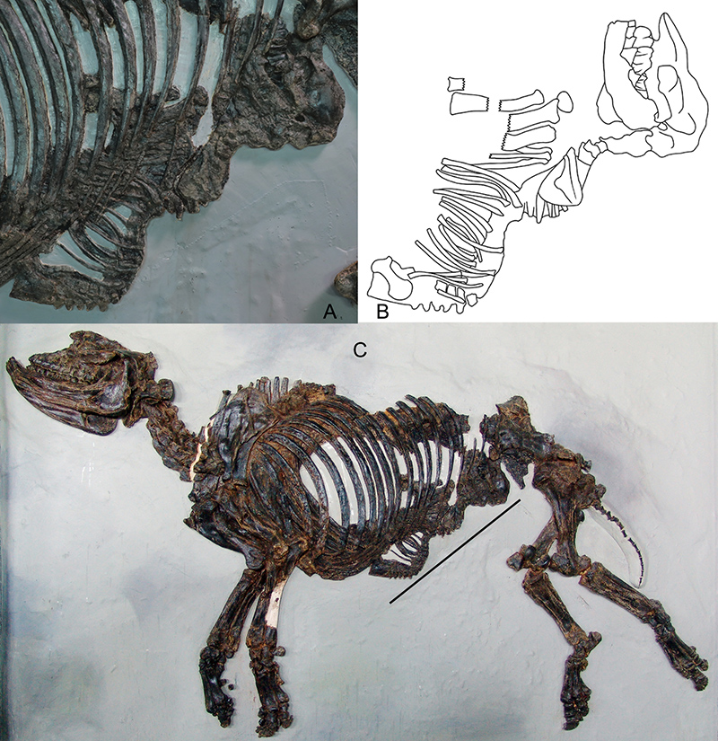 ɽ��ɽ�����Ϭ�໯ʯ��ʾ�����൥̥��ֳ���Ե��ݻ�