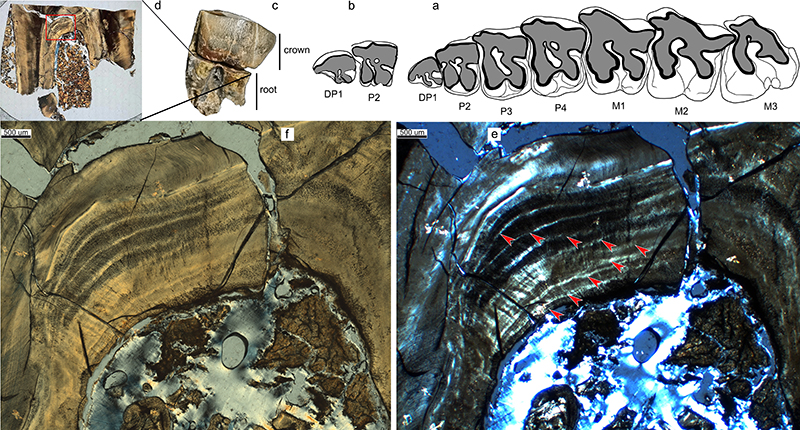 ɽ��ɽ�����Ϭ�໯ʯ��ʾ�����൥̥��ֳ���Ե��ݻ�