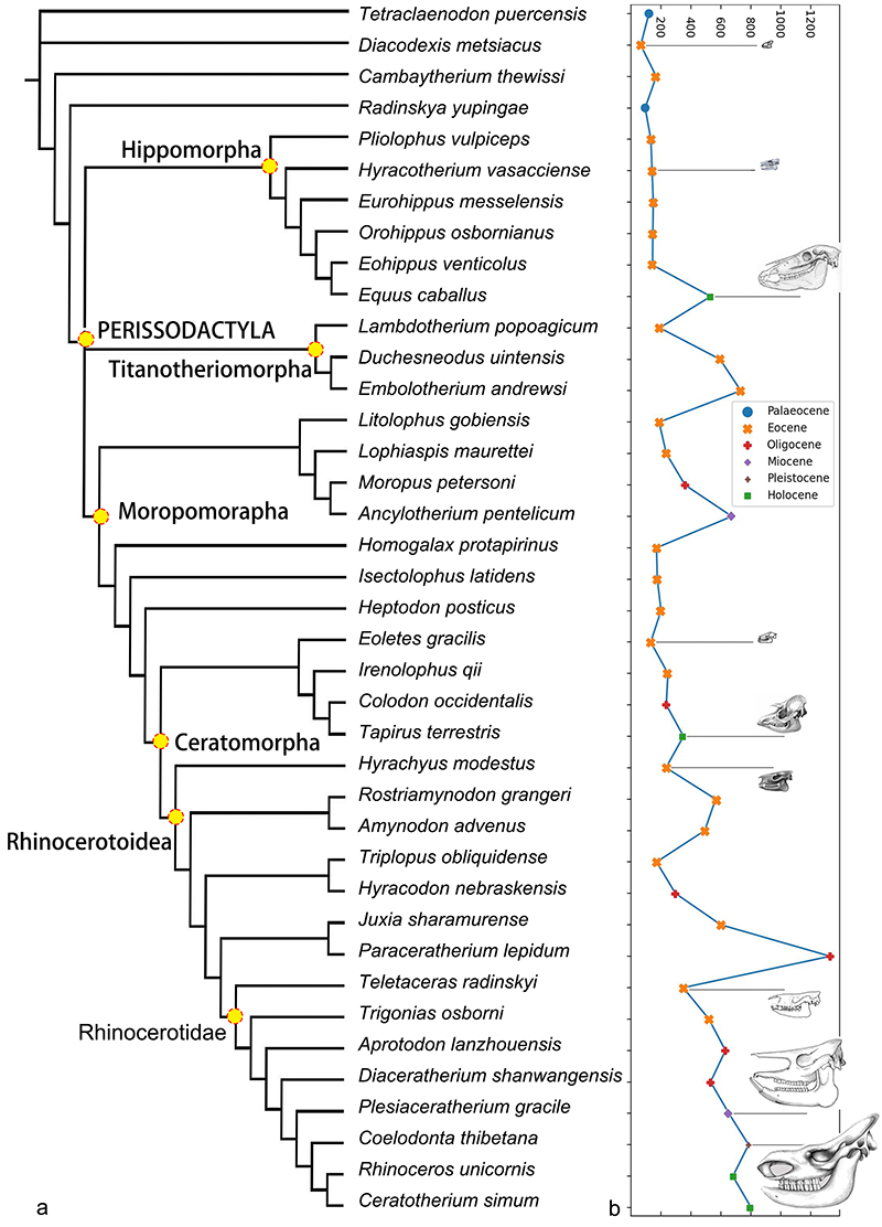 ɽ��ɽ�����Ϭ�໯ʯ��ʾ�����൥̥��ֳ���Ե��ݻ�