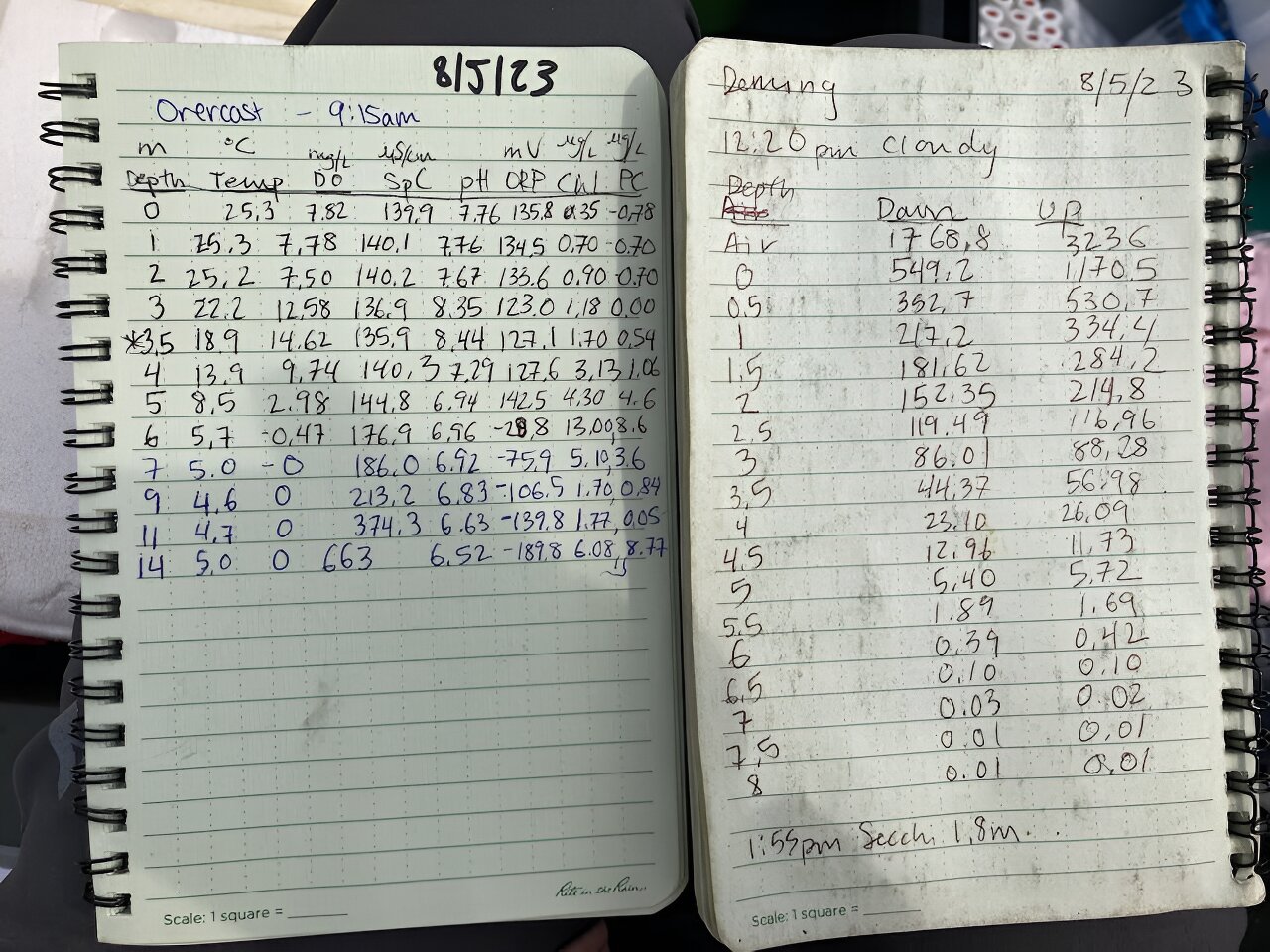 һ���ֲ�ĺ�����ʾ�˼�ʮ����ǰ��������������ǵĴ����л���������