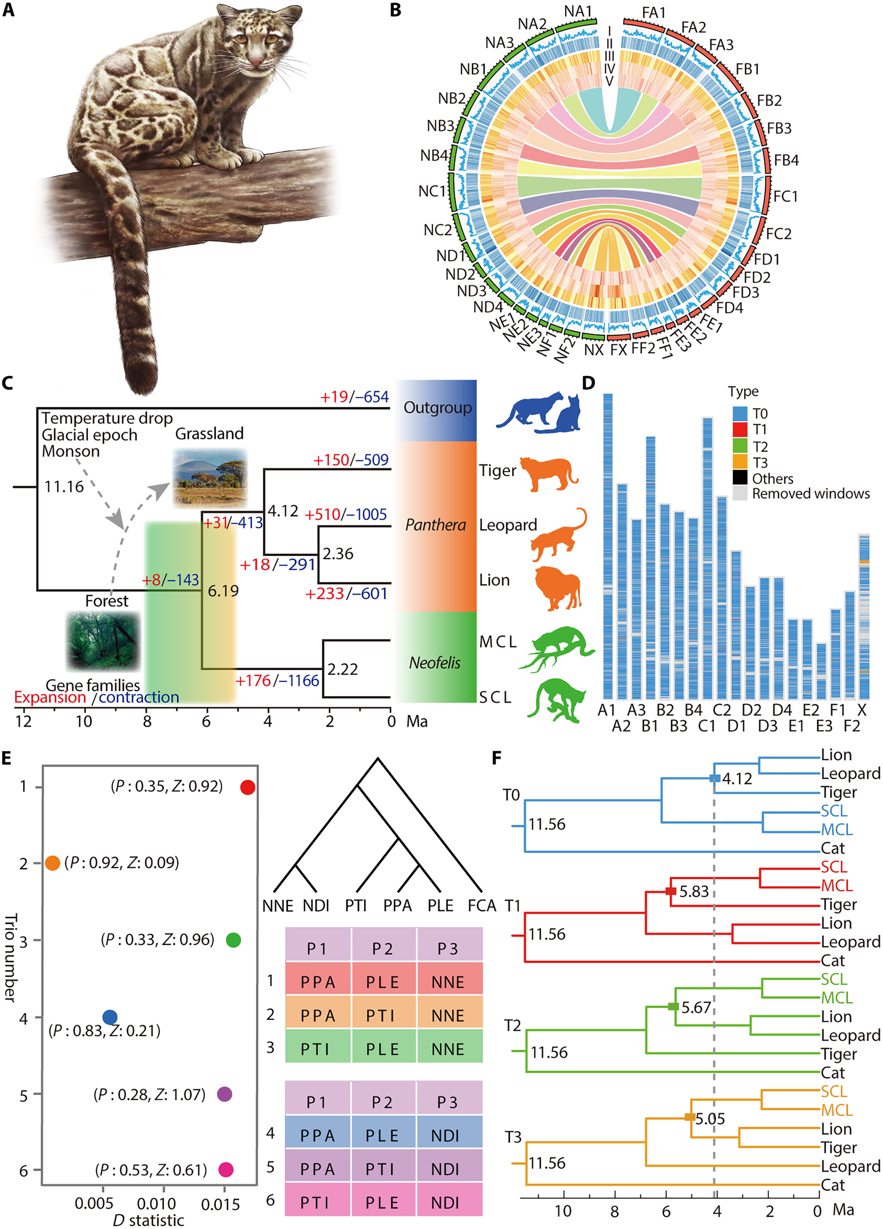 �����鶴���ʾ�Ʊ��Ľ���ʷ��Ϊ�����ṩ��Ϣ