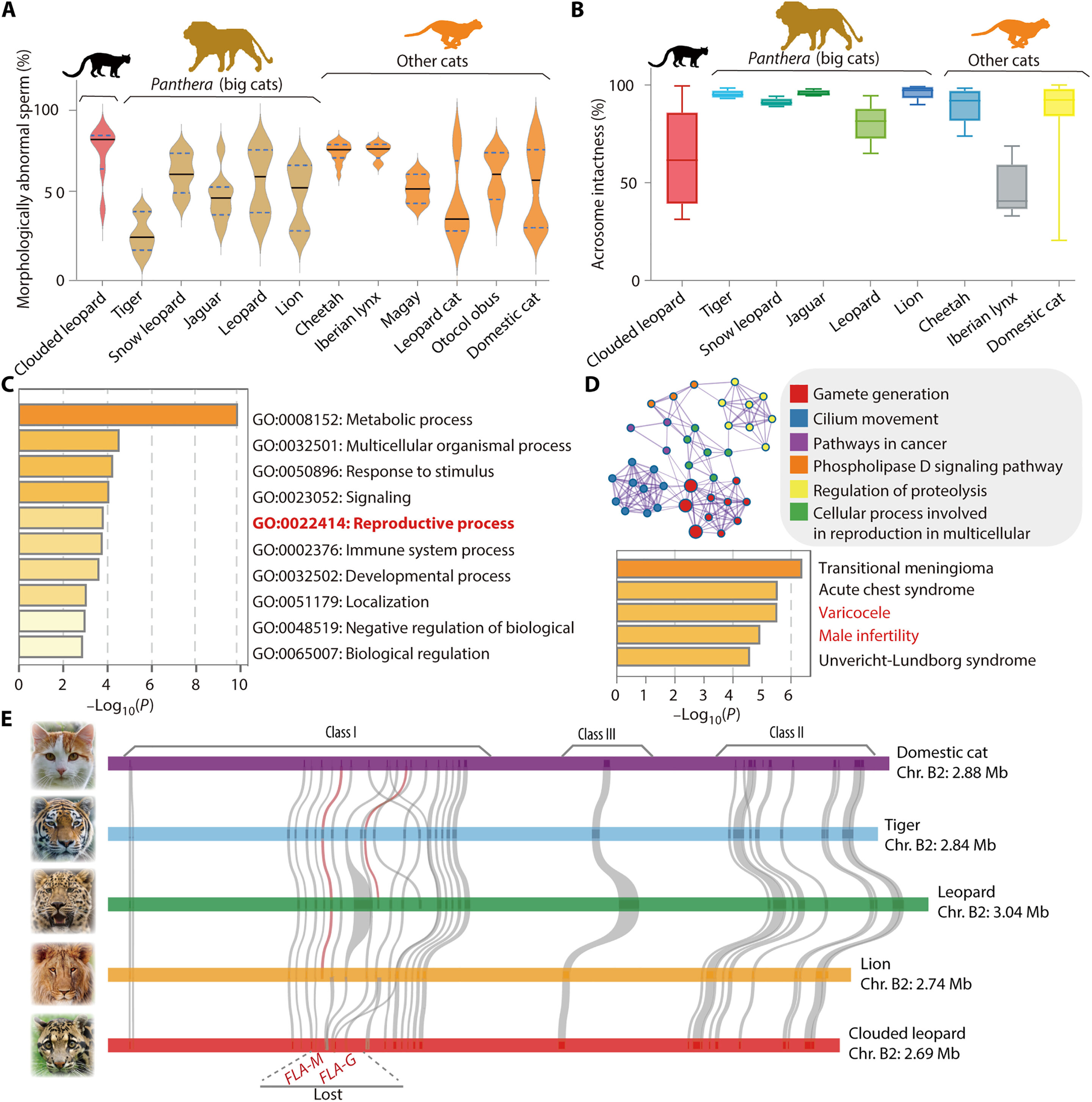 �����鶴���ʾ�Ʊ��Ľ���ʷ��Ϊ�����ṩ��Ϣ