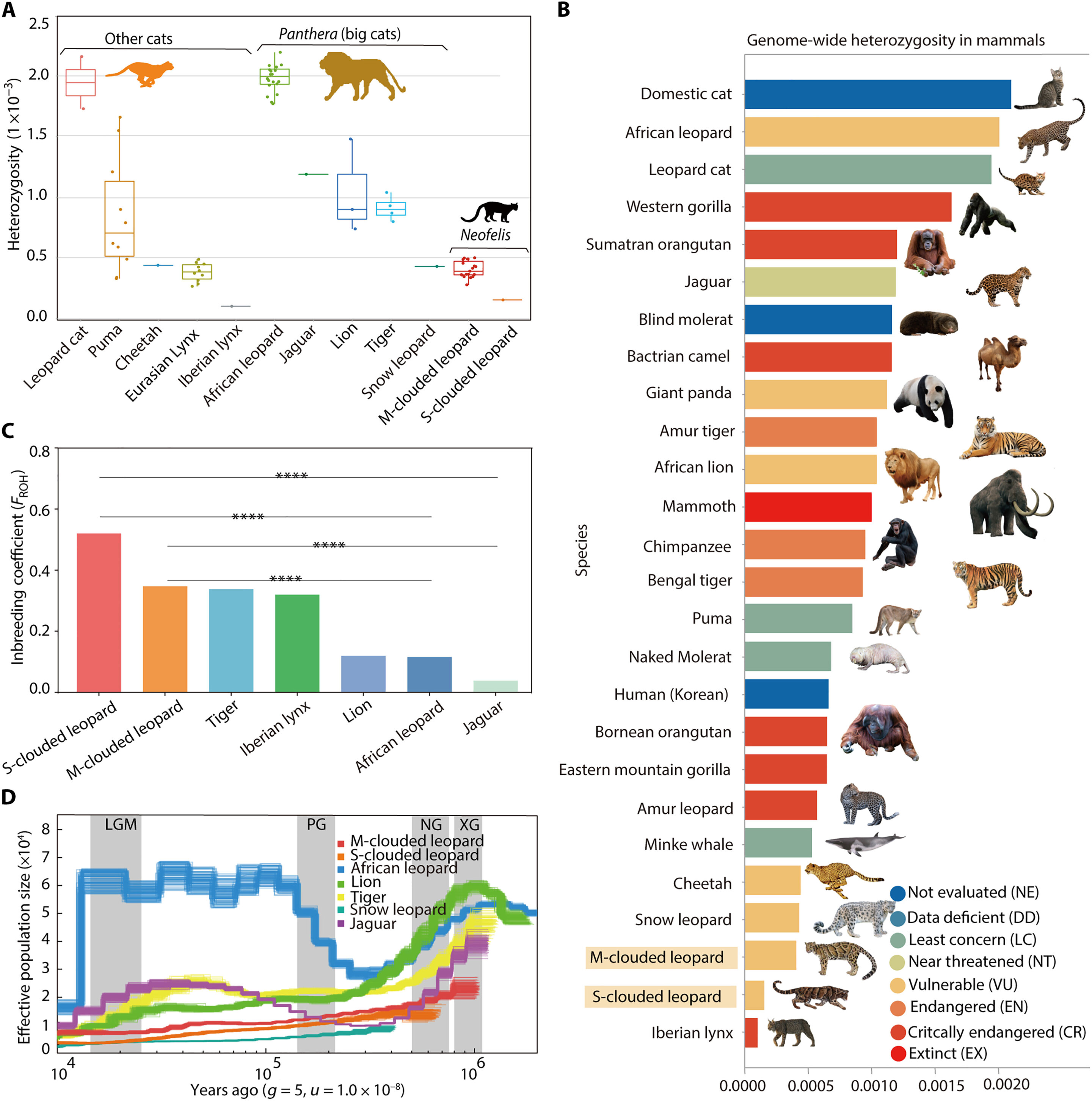 �����鶴���ʾ�Ʊ��Ľ���ʷ��Ϊ�����ṩ��Ϣ
