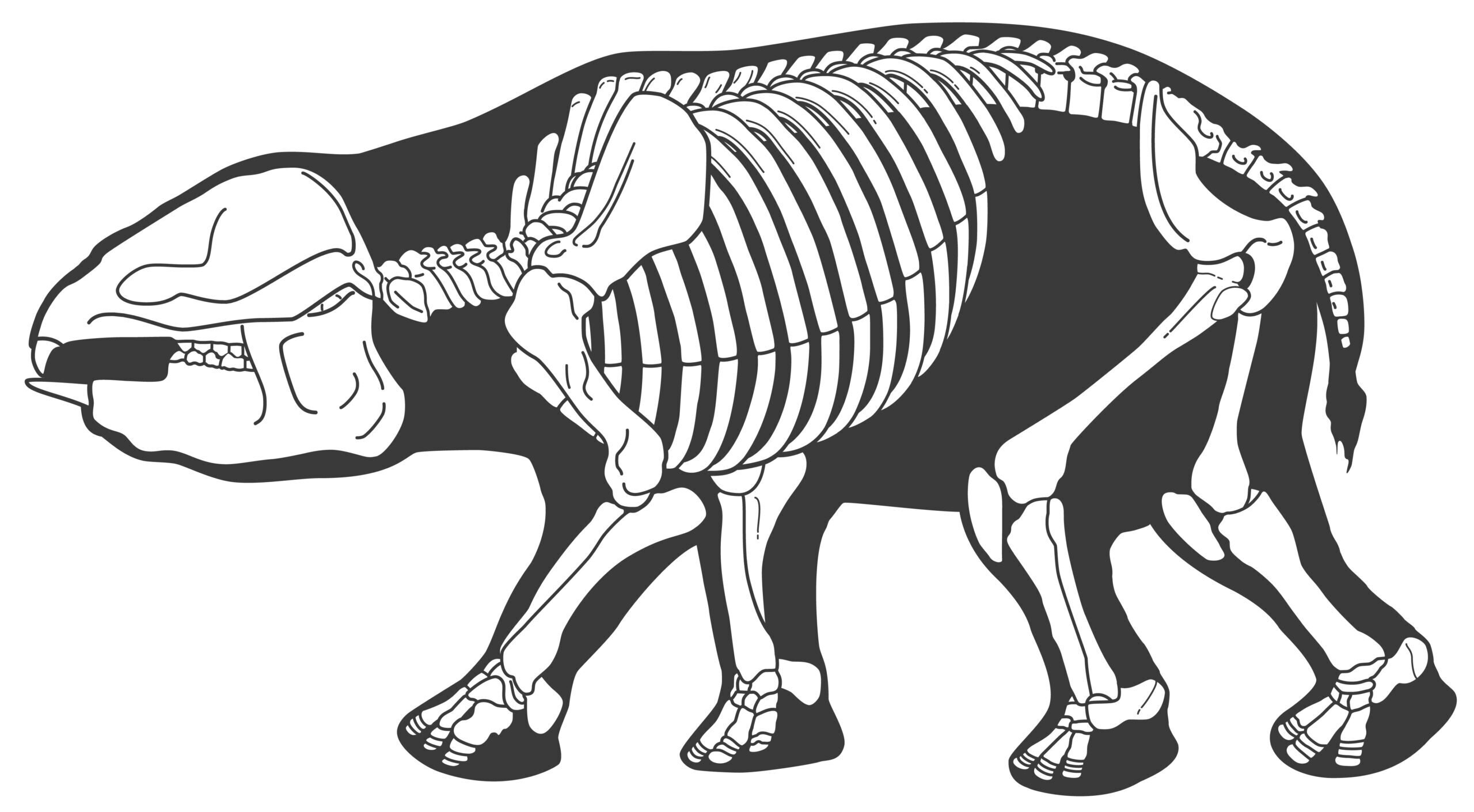 ���󣺵����Ͼ޴������仯��˿ȸ