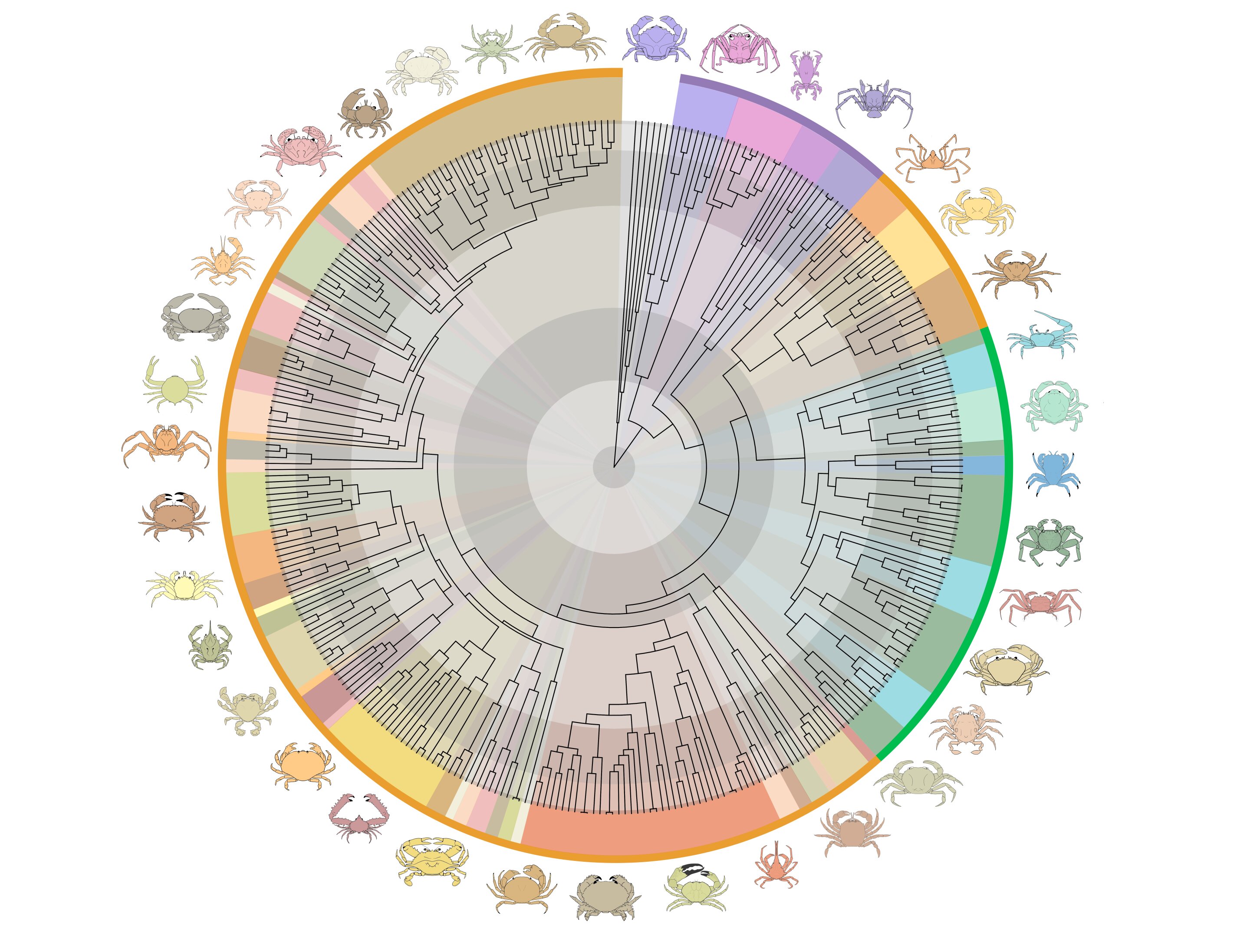 �о���Ա��ʾ���������з�Ӻ���½���ٷ��ص�ʷʫ��Ĺ����ó�