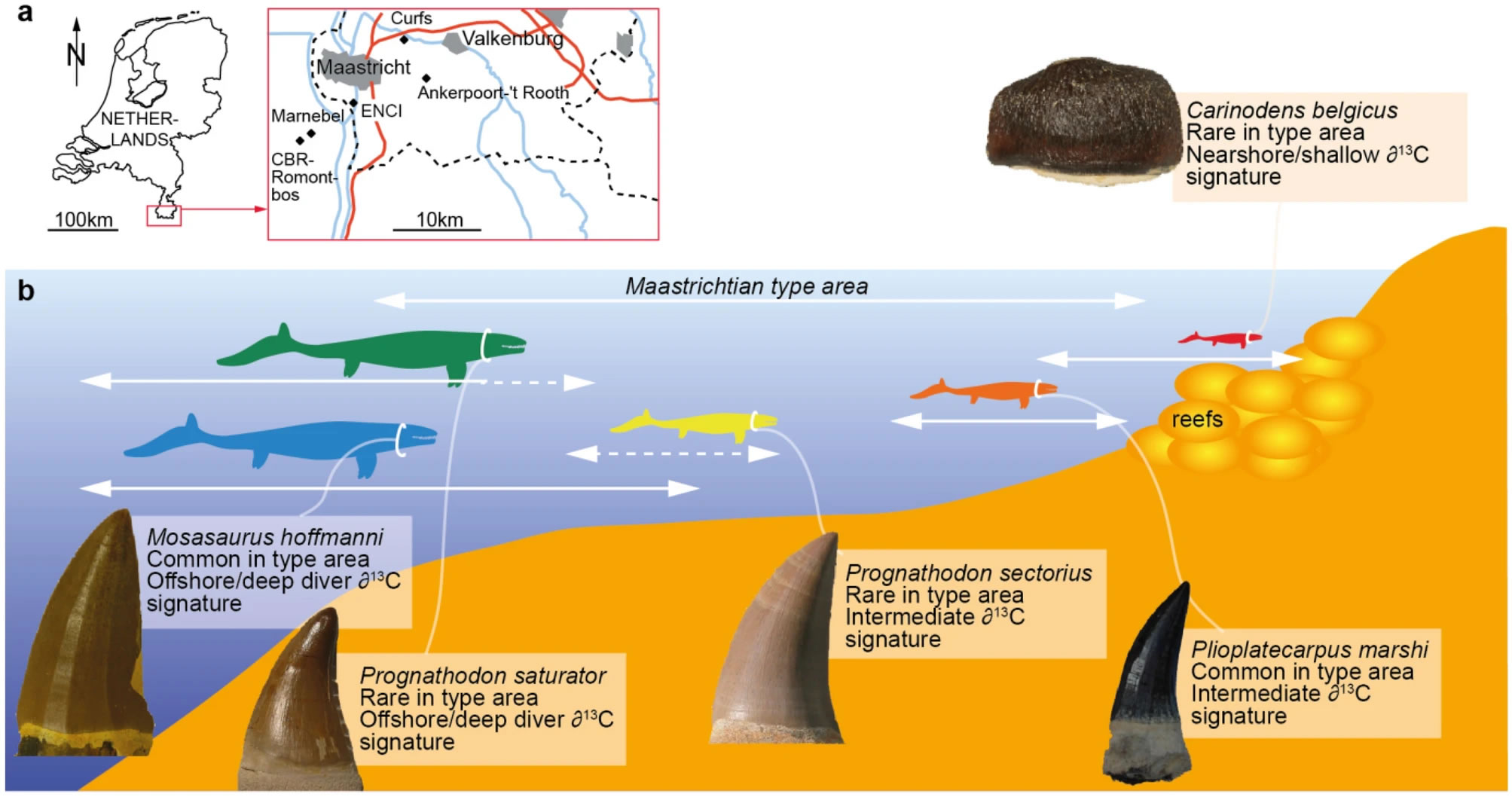 ��������ĥ��ļ������������ϲ�����ʵ���ʳ��