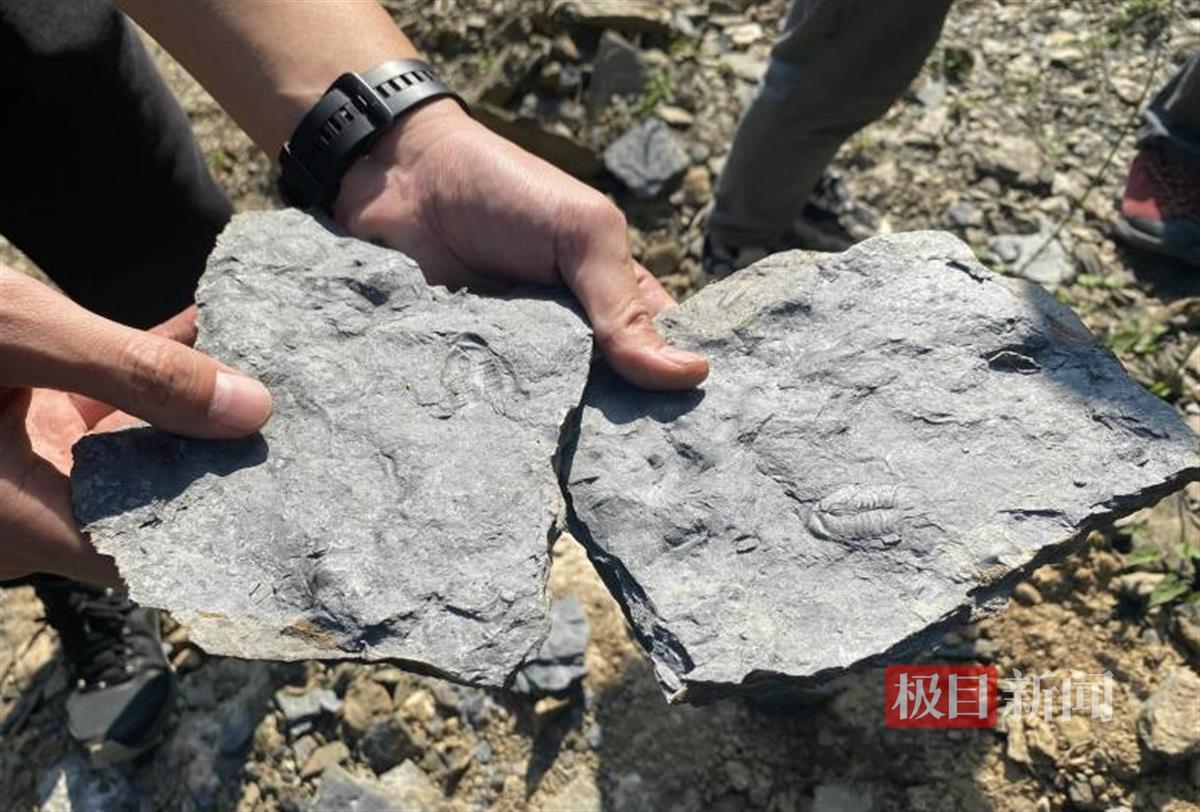 �����������ְ��ദ�����ﻯʯ�ۼ���