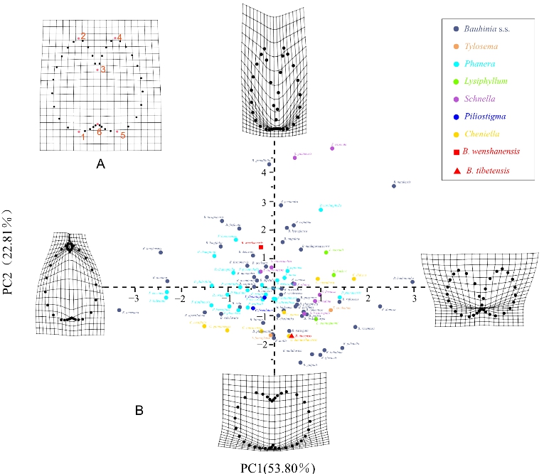 ��ظ�ԭ�ϲ���������ȫ����������������ʯ
