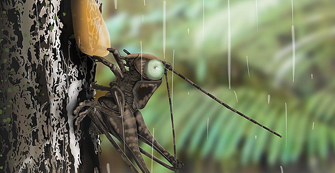 ������������4400����������˹��ʾ�˹Ŵ�ŷ�޵Ľ���֮ս