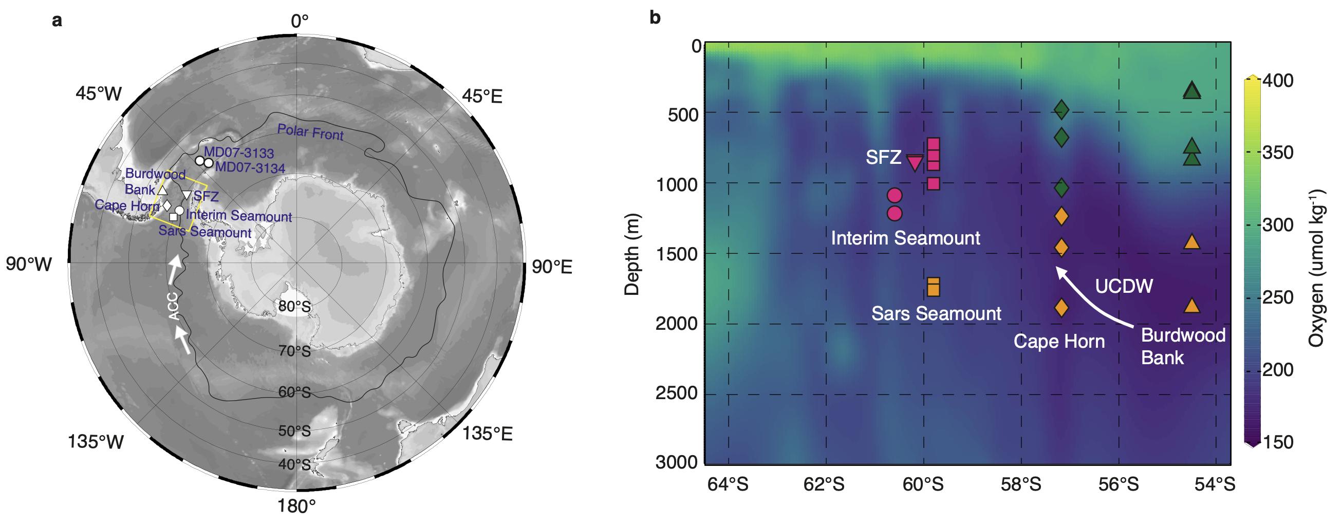 �ɺ���о���ʾĩ�α������ϼ����Ǳ�����ˮ�ͷŹ���