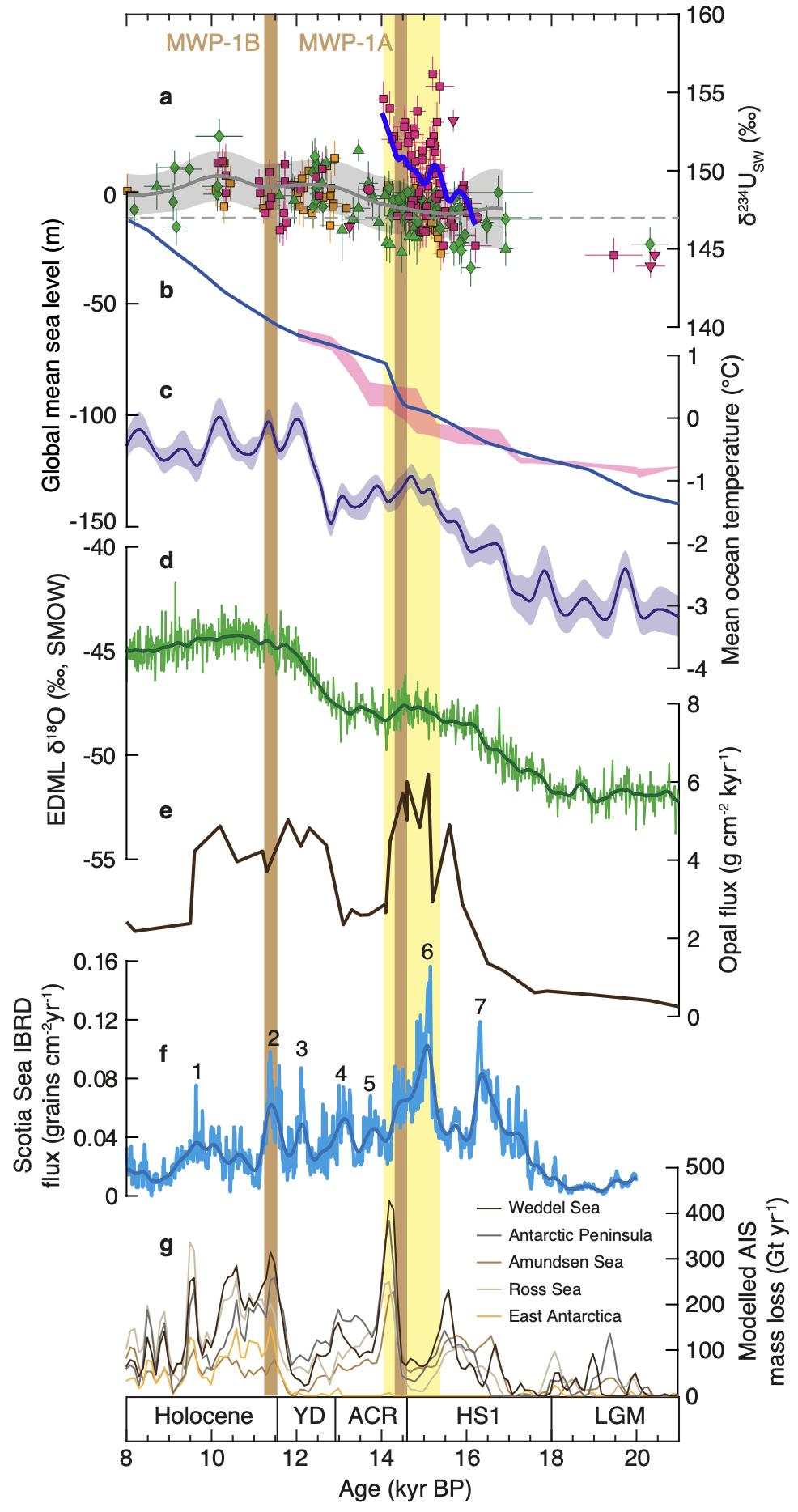 �ɺ���о���ʾĩ�α������ϼ����Ǳ�����ˮ�ͷŹ���