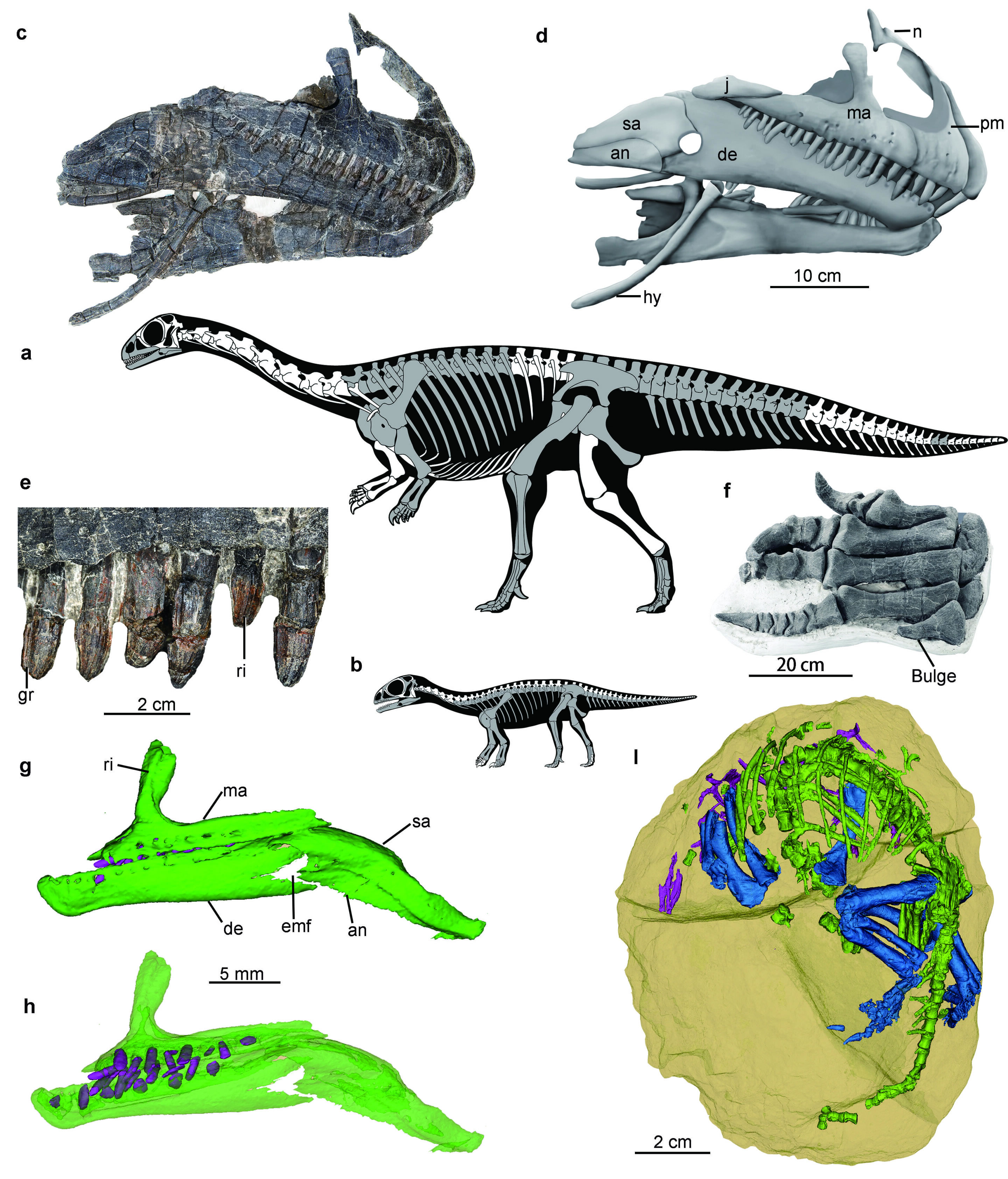 ����Ļ�ʯ���ֱ�����һö�������Ǽ��͵�