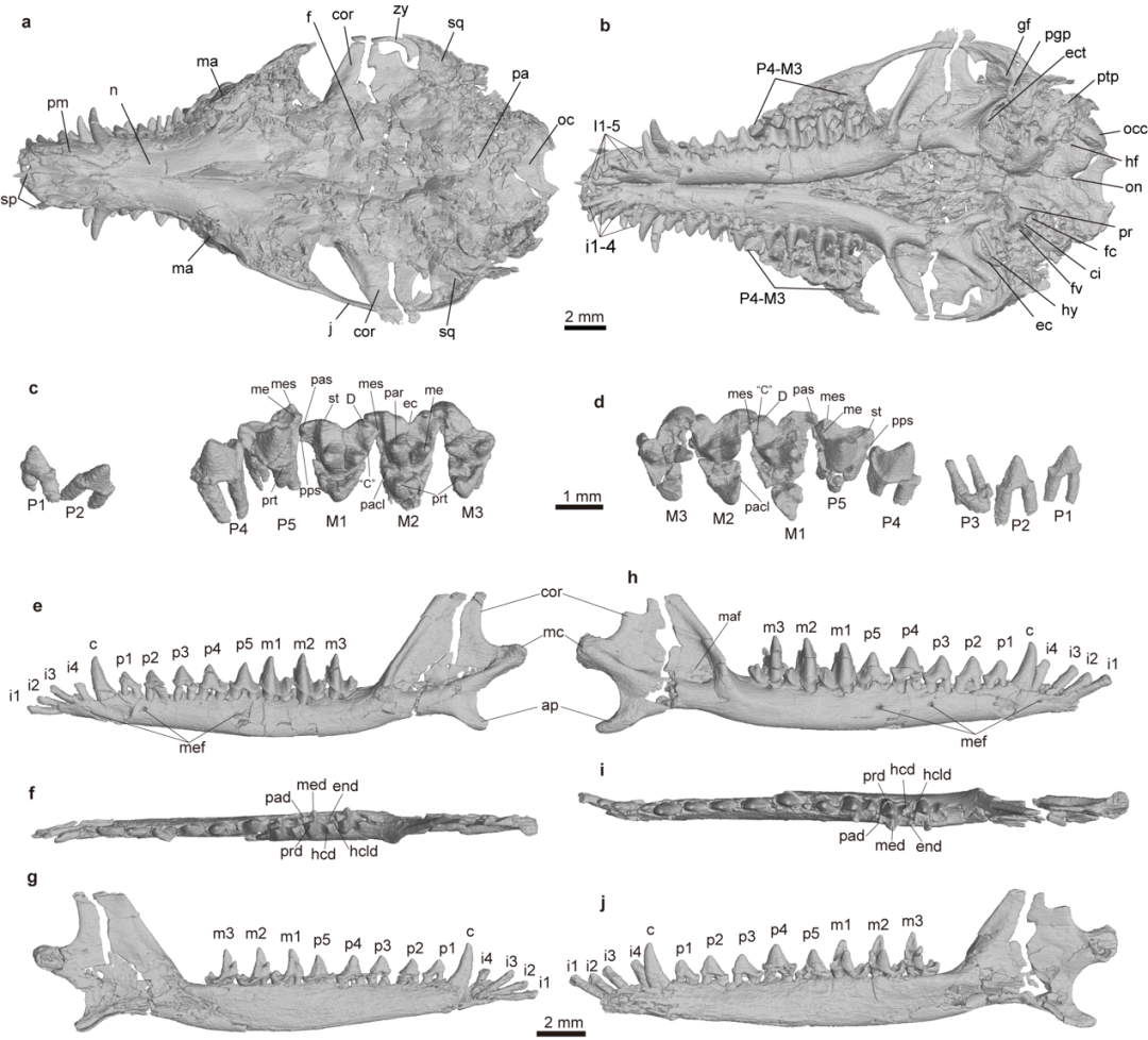 ��ж��ݻ��о��հ� �ҹ�������ѧ�ҷ����λ�С��