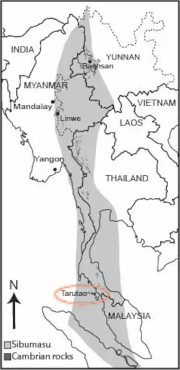 新的三叶虫物种揭示了古代冈瓦纳超级大陆的秘密