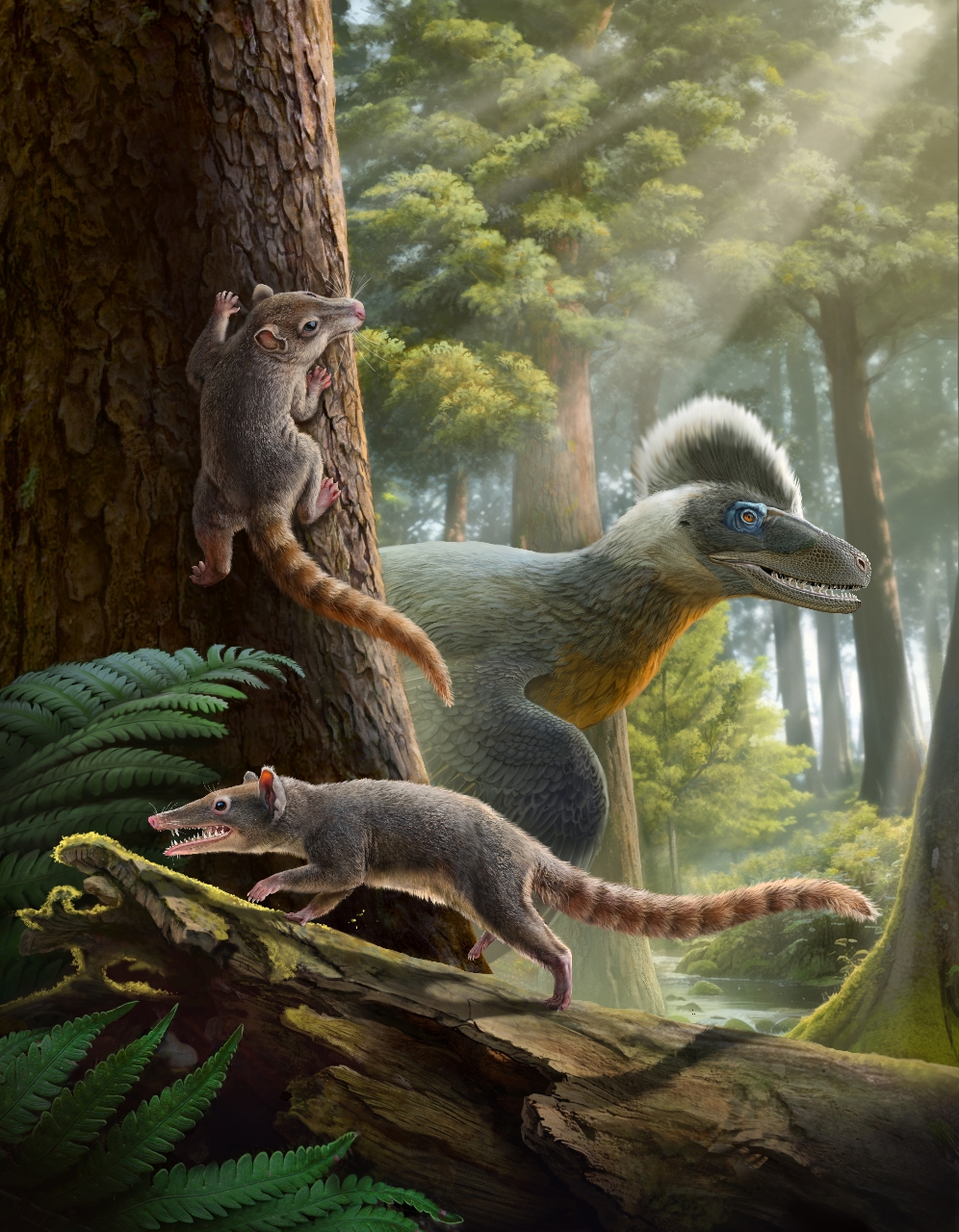 聆听白垩纪祖先的声音——热河生物群真兽类中耳演化创新