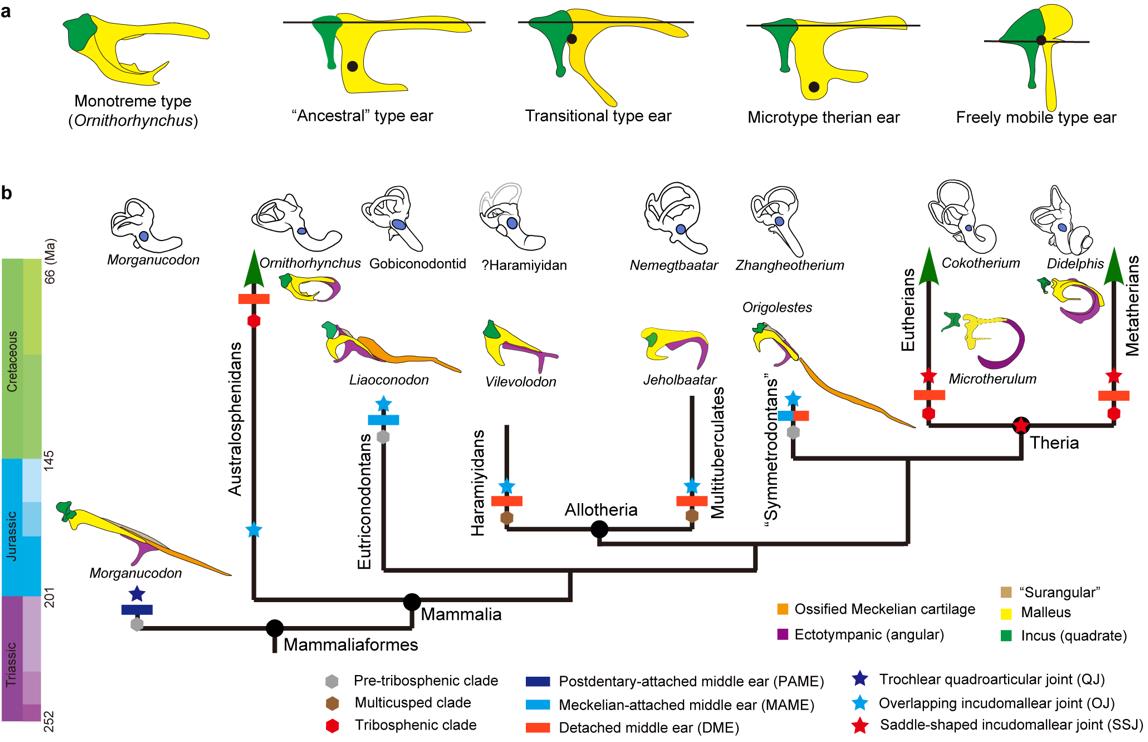 �������Ѽ����ȵ����������Ⱥ�����Ⱥ�������ж��ݻ�����