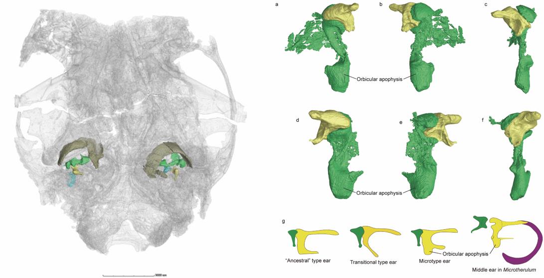 �������Ѽ����ȵ����������Ⱥ�����Ⱥ�������ж��ݻ�����