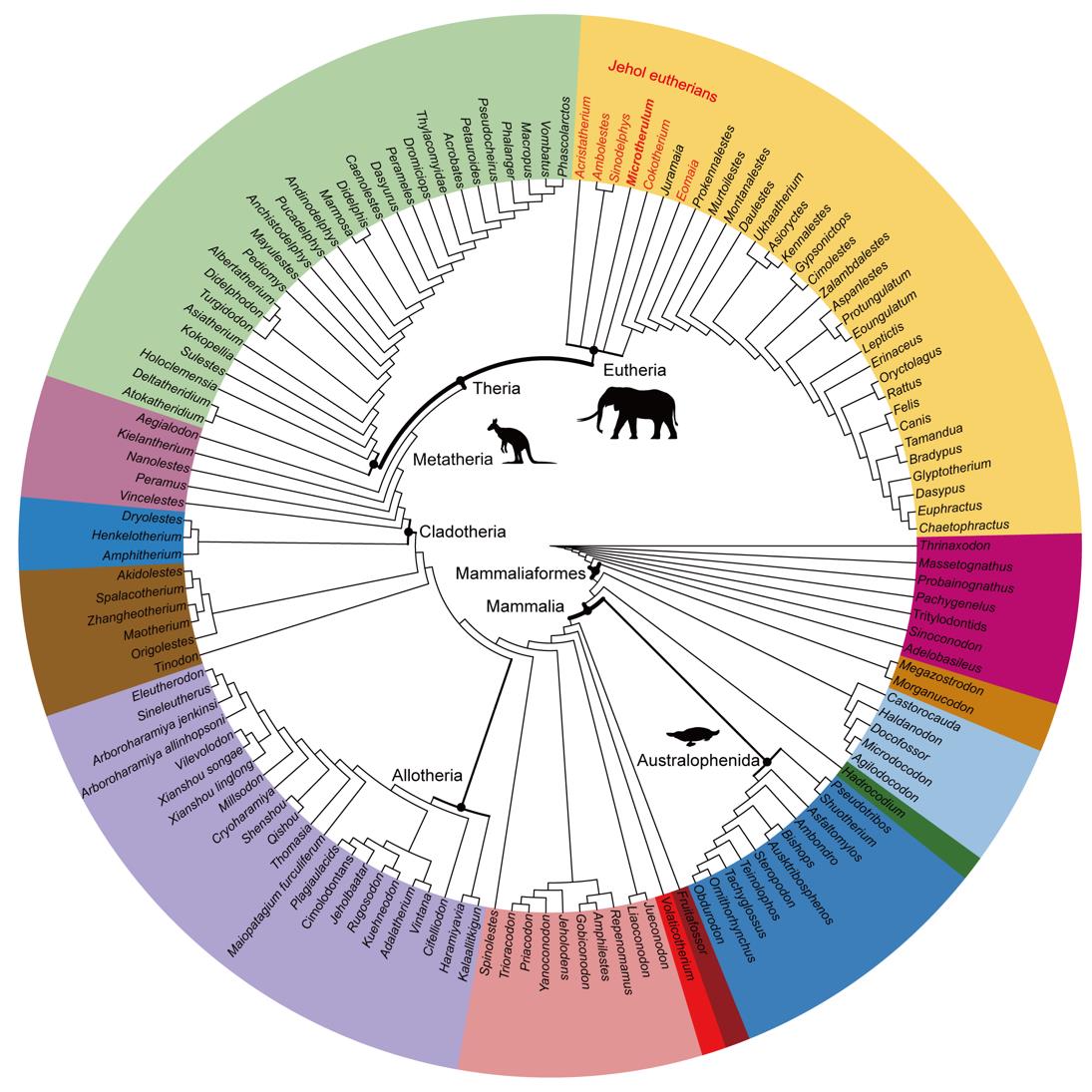 �������Ѽ����ȵ����������Ⱥ�����Ⱥ�������ж��ݻ�����