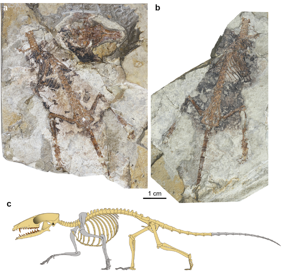 �������Ѽ����ȵ����������Ⱥ�����Ⱥ�������ж��ݻ�����