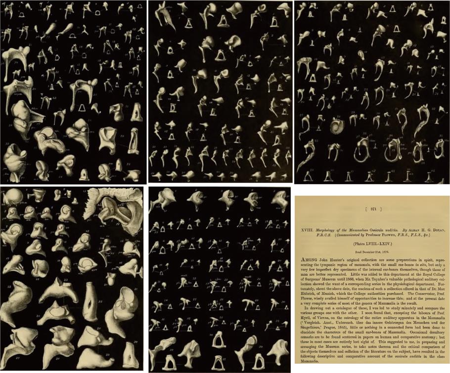 �������Ѽ����ȵ����������Ⱥ�����Ⱥ�������ж��ݻ�����