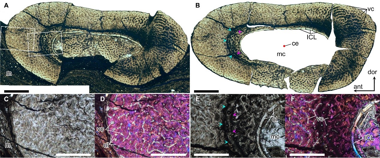 ��������ͨ�������Ⱥ�����Ⱥһ�����֡�����������Ǳں�ȱ仯���¹۵�