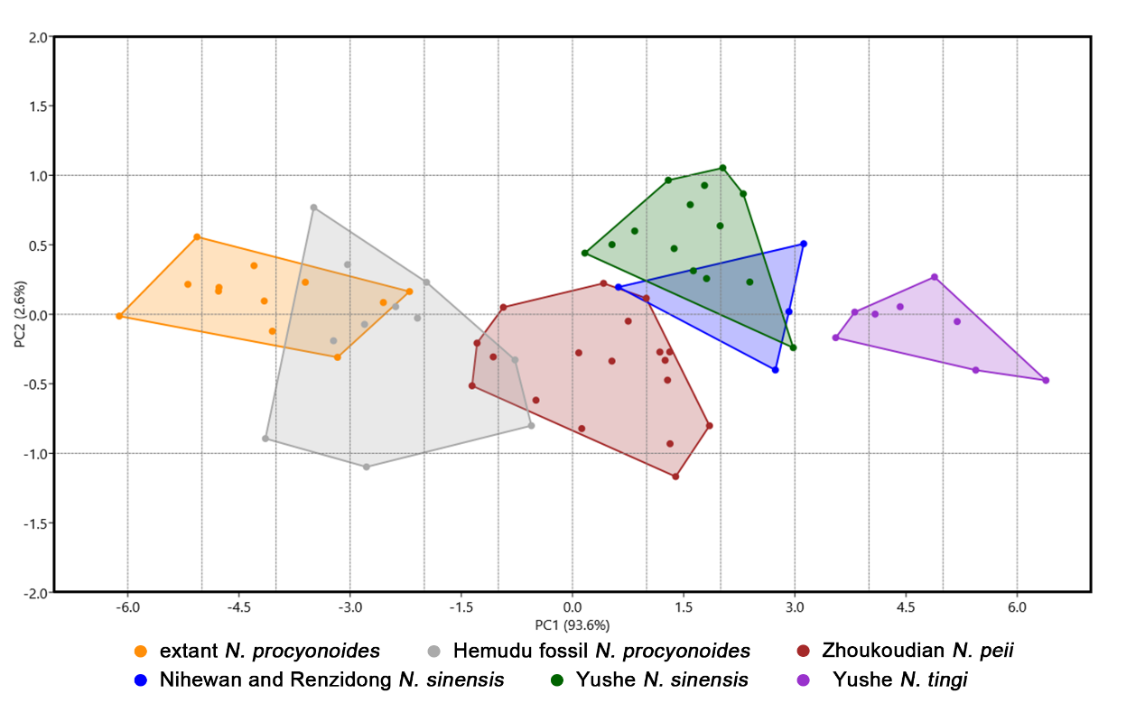 ���Ա����ܿڵ�����Ϻѣ�һ�����ڱ����ӵĶ�����ʯ��Ⱥ