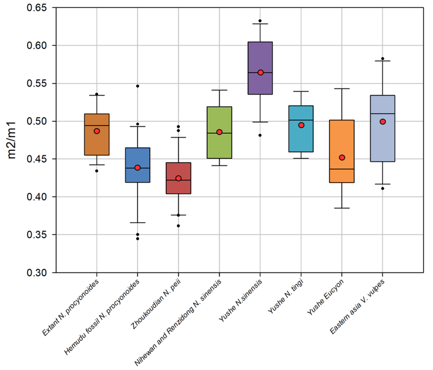 ���Ա����ܿڵ�����Ϻѣ�һ�����ڱ����ӵĶ�����ʯ��Ⱥ