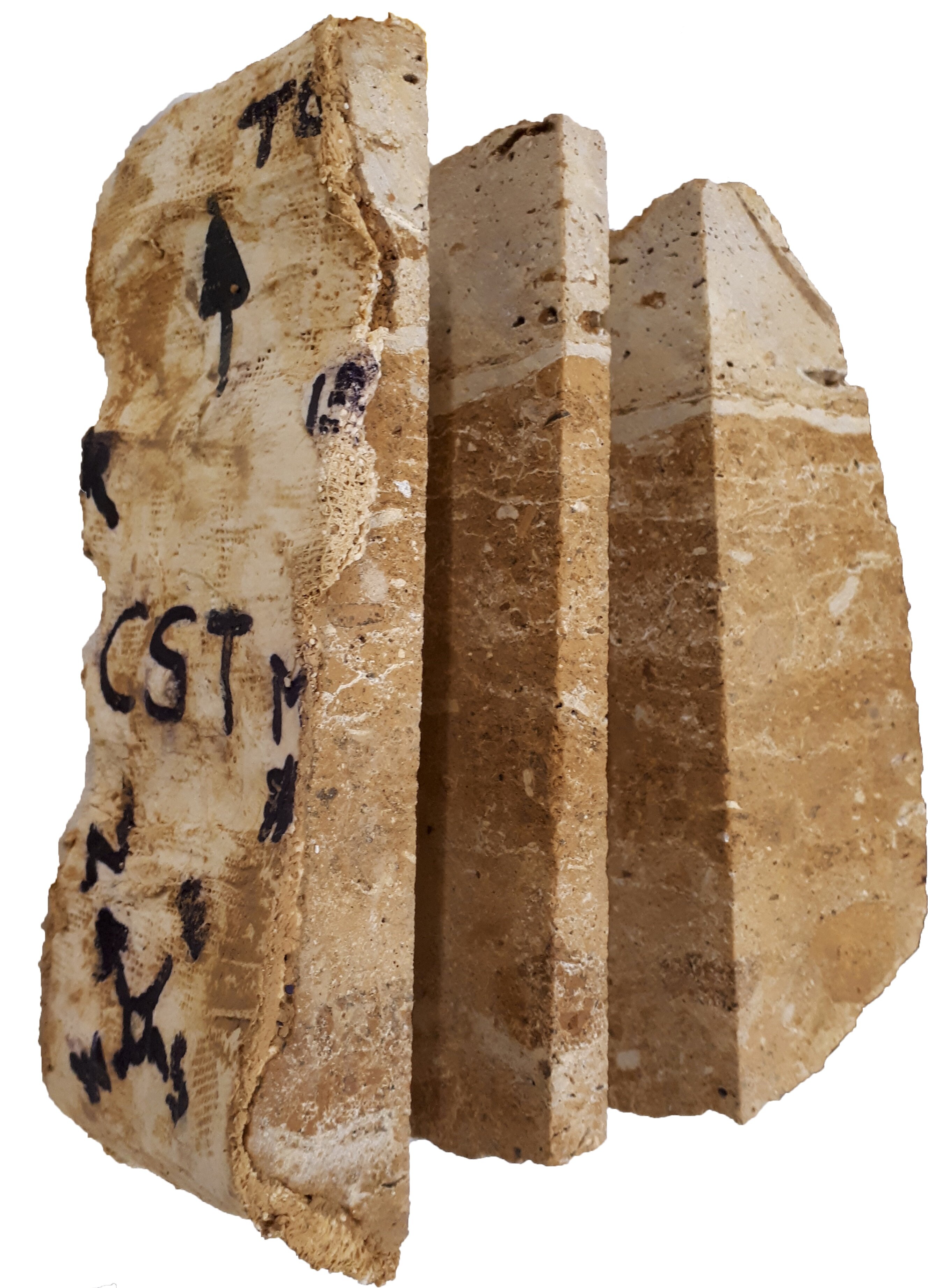 ��¶��������ĳ��ţ�Ϊʲô��ѧ�����ڿ���ѧ�к���Ҫ