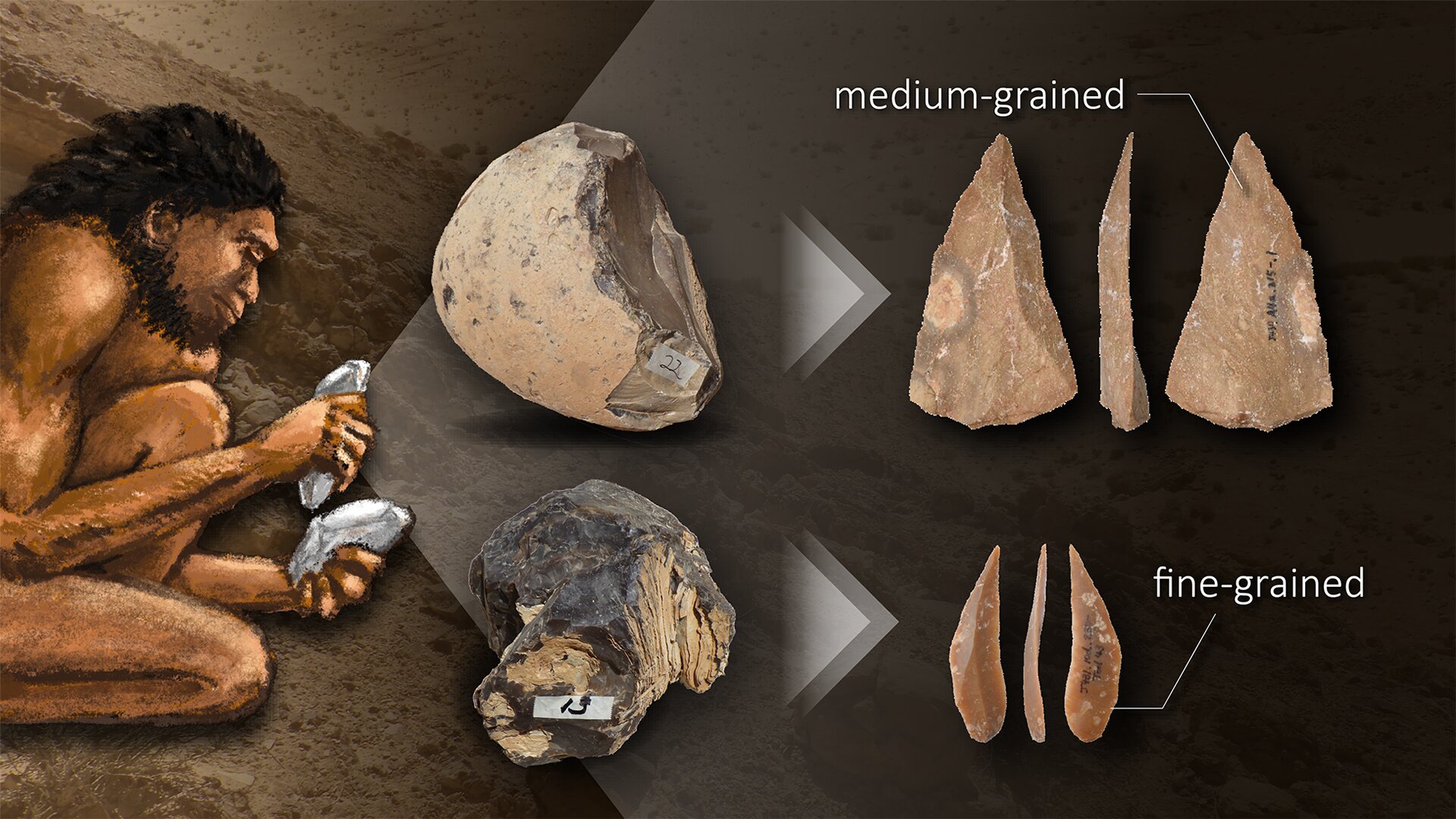 旧石器时代的人类可能已经了解了制造石器的岩石特性