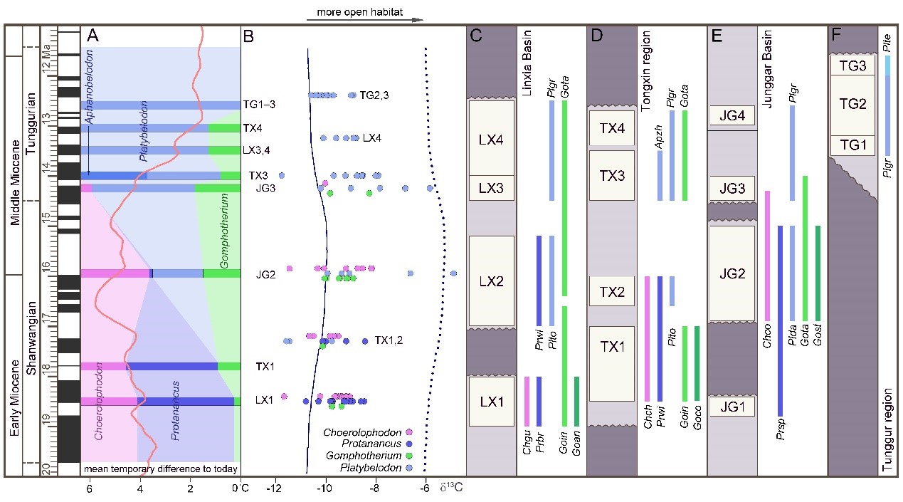 �������ȡʳ���١������ͳ��ǵ�Эͬ�ݻ�