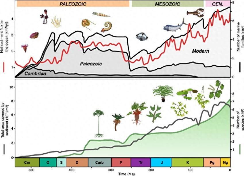 生命的构造故事：地质学如何影响过去5亿年的进化历程