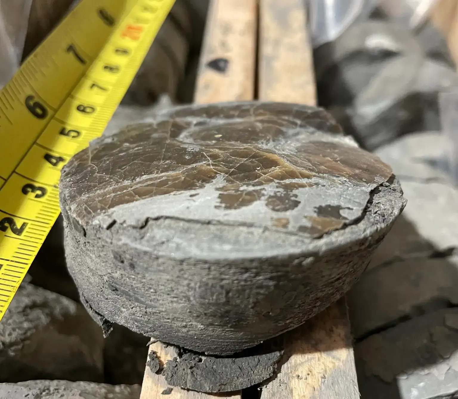 �������õ��µĹ���̬�����ʾ����ĺ���Σ��������ü��