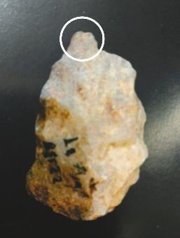 古人类3万年前就会制作和使用“钻头”