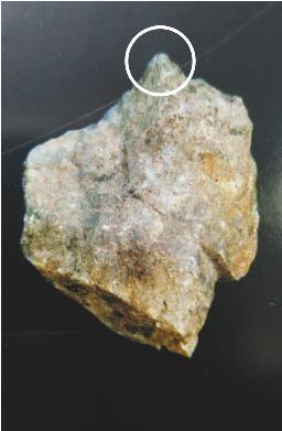 古人类3万年前就会制作和使用“钻头”