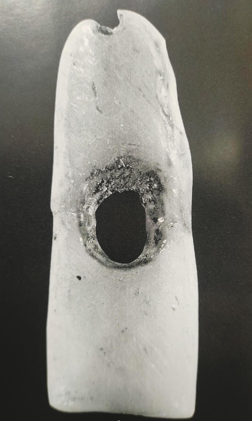 古人类3万年前就会制作和使用“钻头”