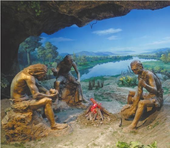 古人类3万年前就会制作和使用“钻头”