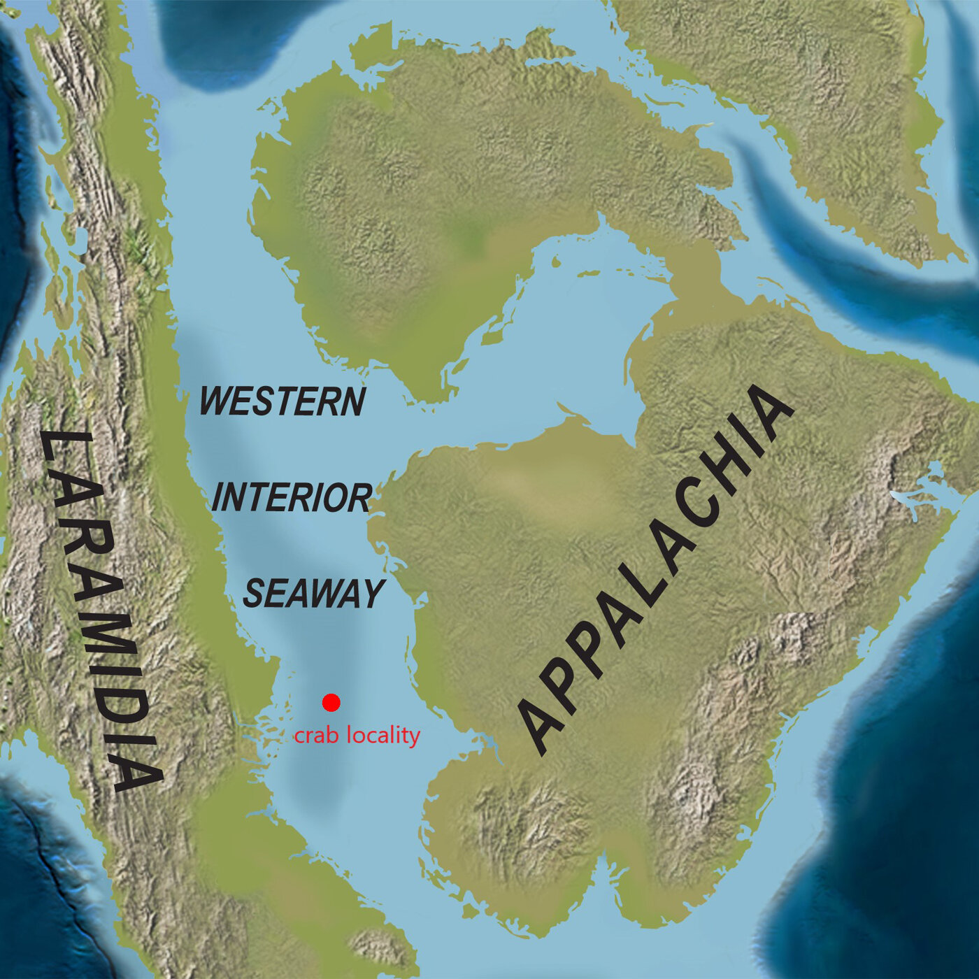 ������ѧ�����з��ʯ�з��ֺ���������֯