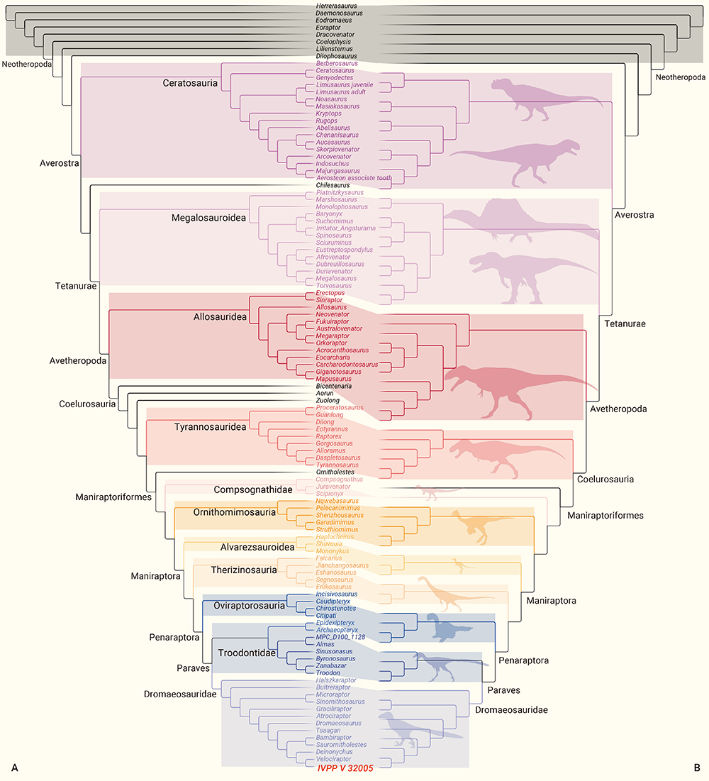 ��ظ�ԭ�Ŀ�����ʯ��ʾ�޽���ʳ����ͬ�ݻ��Լ����ڼ�����ɢ��ʯ����ʾ