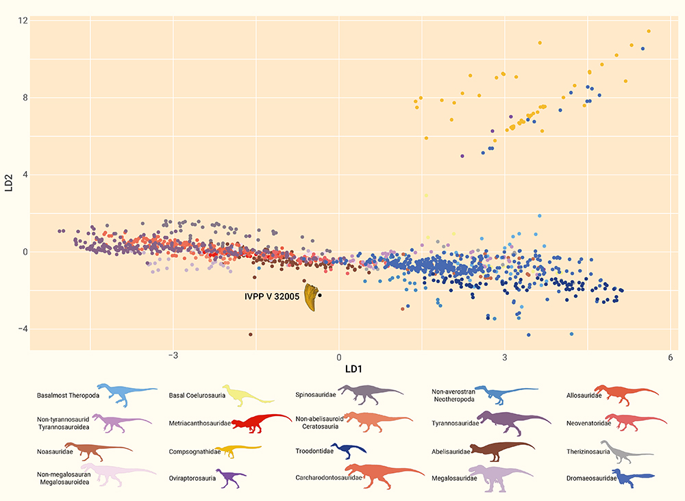 ��ظ�ԭ�Ŀ�����ʯ��ʾ�޽���ʳ����ͬ�ݻ��Լ����ڼ�����ɢ��ʯ����ʾ