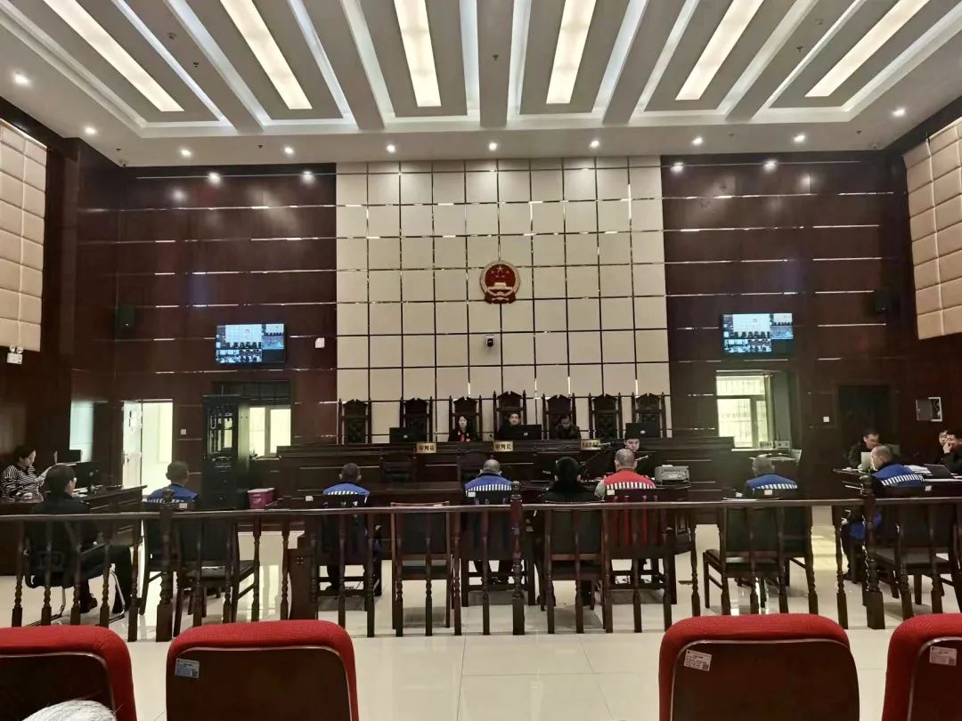 守护历史文明火种 保护古化石资源安全