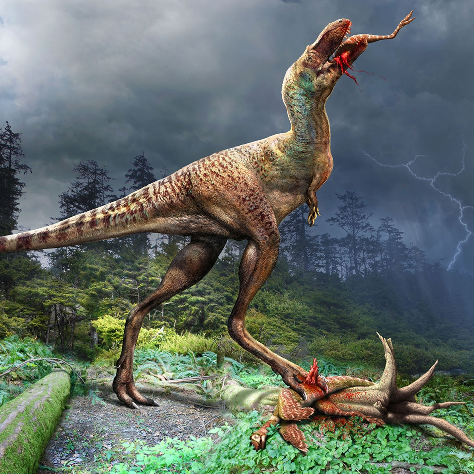 年幼暴龙是挑食老饕:蛇发女怪龙在磨练狩猎技巧时会选择以似鸟恐龙为目标