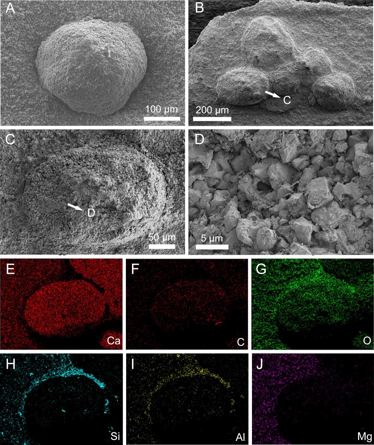 ໯ʯ²ϽʾƽȺ̬ϵײṹ