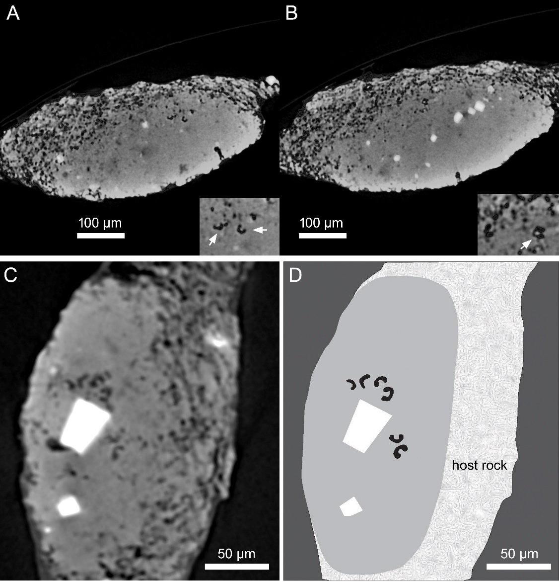 ໯ʯ²ϽʾƽȺ̬ϵײṹ