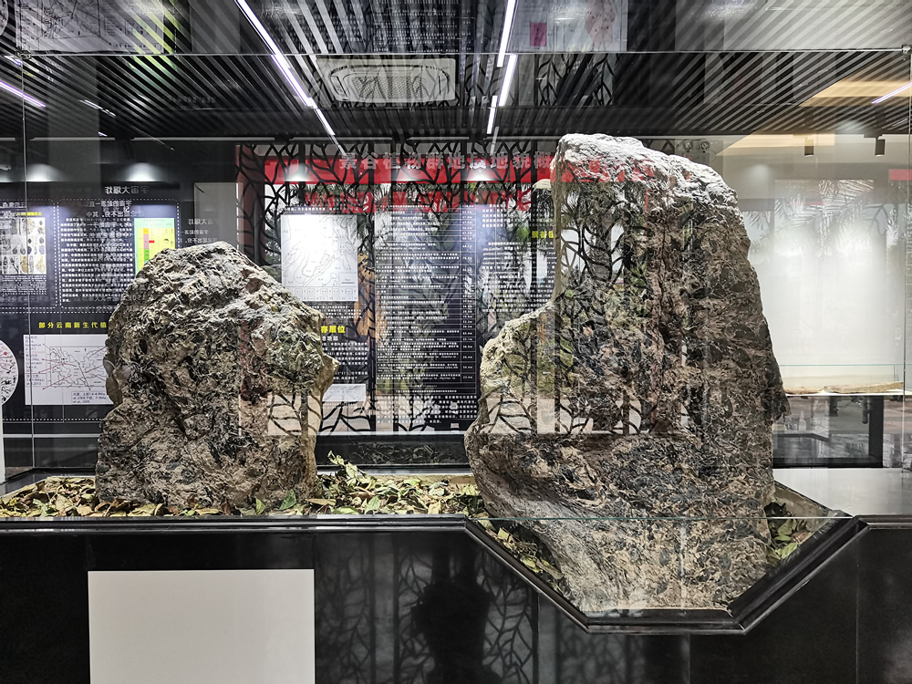 ���Ͼ��Ⱦ��й����ﻯʯչ�¹ݿ����߹�����ר�ҹ���վ������ʽ