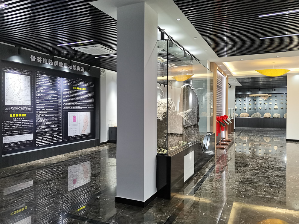 ���Ͼ��Ⱦ��й����ﻯʯչ�¹ݿ����߹�����ר�ҹ���վ������ʽ