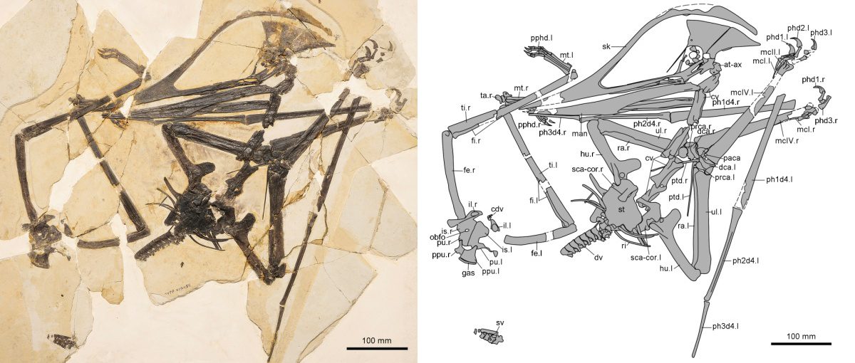 �Ⱥ�����Ⱥһ�µ����������Ѻ������������аͿ�ѧ��20���Ѻú����ļ�֤