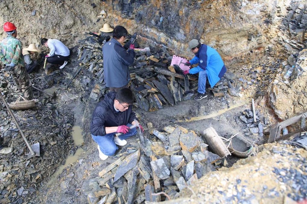 �ҿ�Զ�������ݻ�����һ��