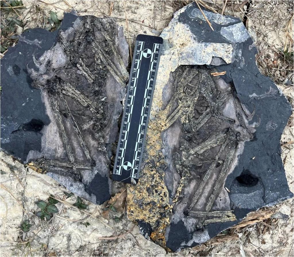 �ҿ�Զ�������ݻ�����һ��