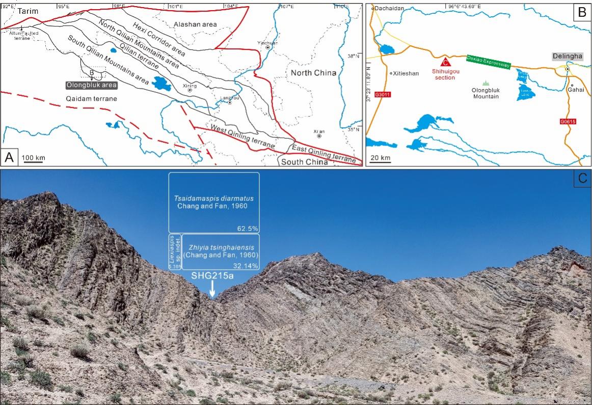 ŷ����³�˵������������Ҷ����ŵ�������ʶ